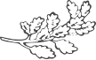 leaf-free-img leaf-free-img